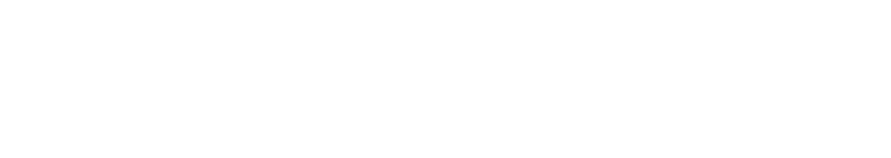 BENESSI